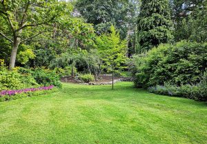 Optimiser l'expérience du jardin à Steenbecque